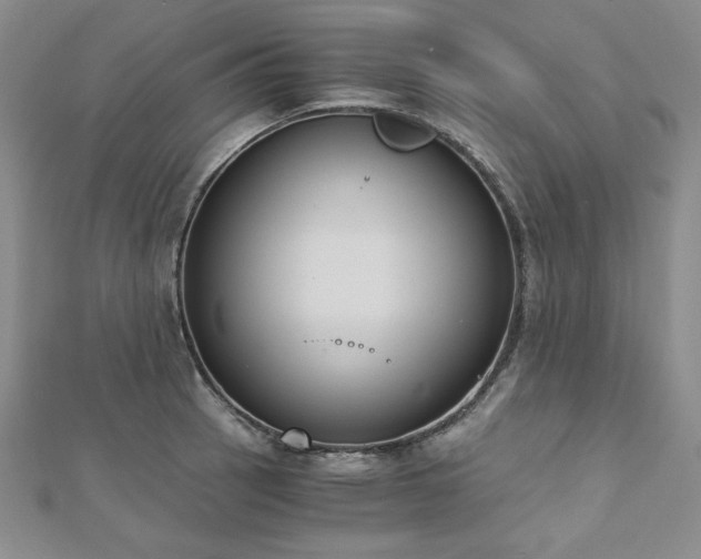 X0000113171137200909041316
