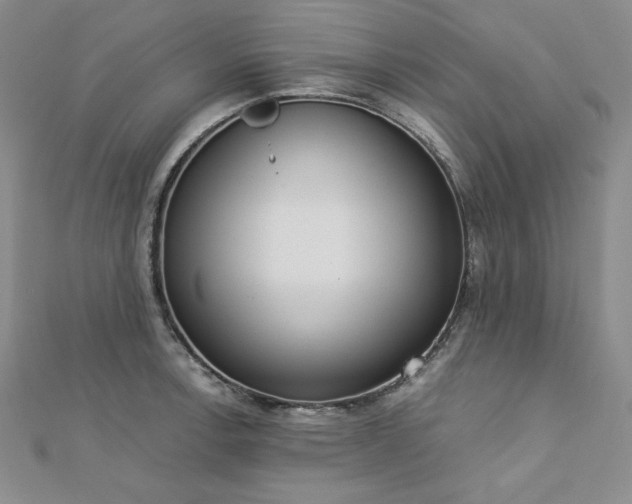 X0000113171138200909041316