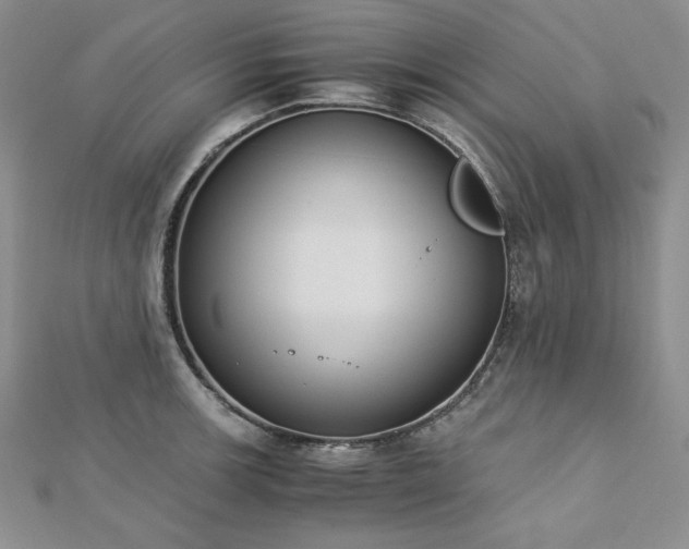 X0000113171139200909041316