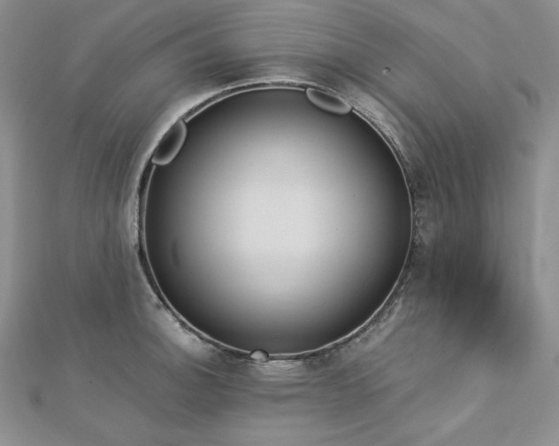 X0000113171140200909041316