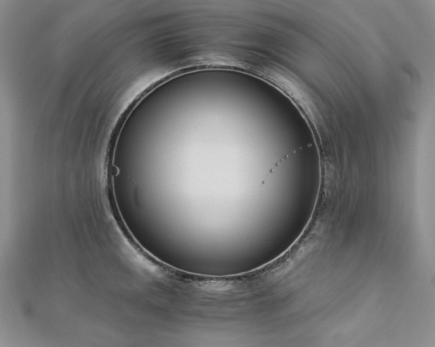 X0000113171141200909041316