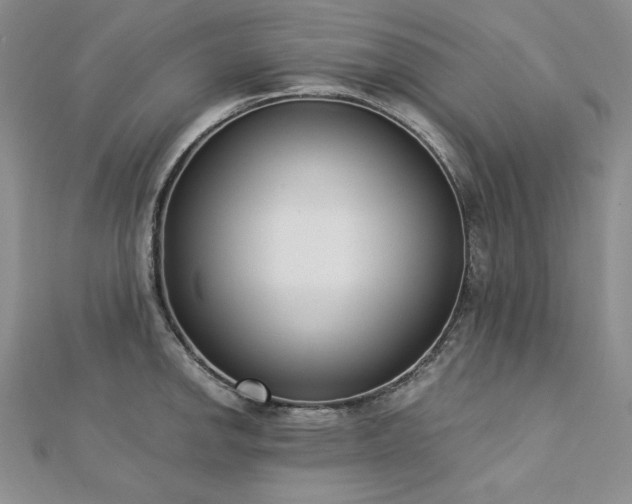 X0000113171142200909041316