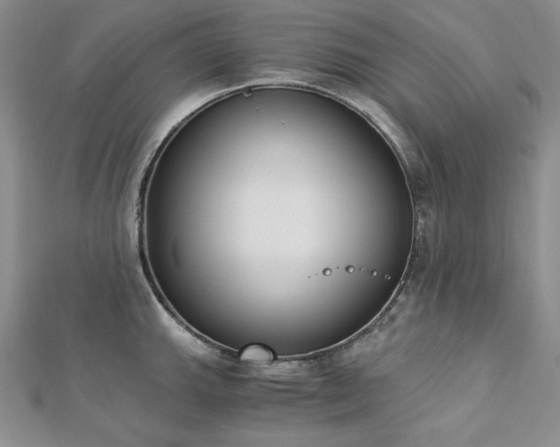 X0000113171143200909041316