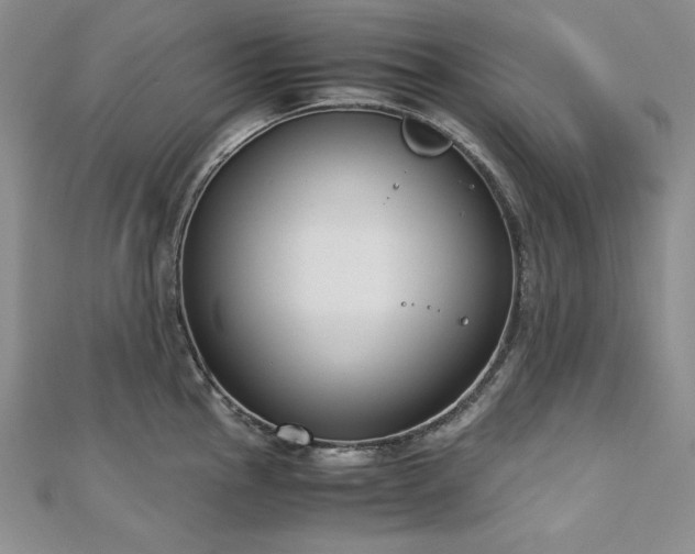 X0000113171145200909041316
