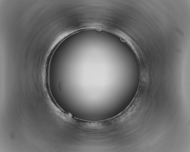 X0000113171147200909041316