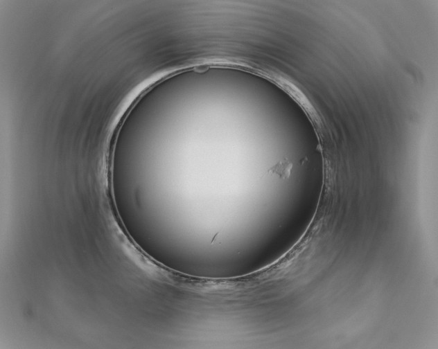 X0000113171148200909041317