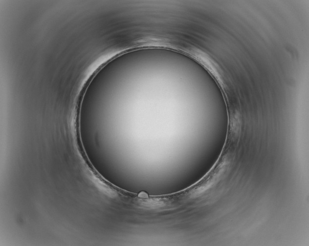 X0000113171149200909041317