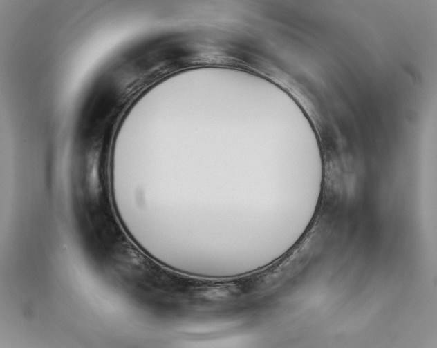 X0000113171150200909041317