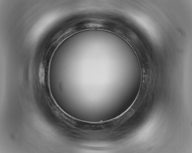 X0000113171151200909041317