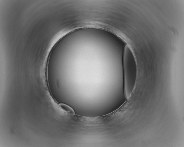 X0000113171152200909041317