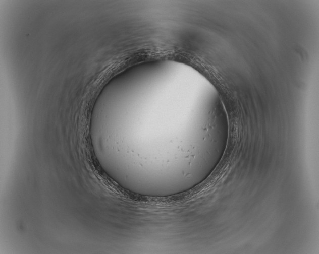 X0000113171153200909041316