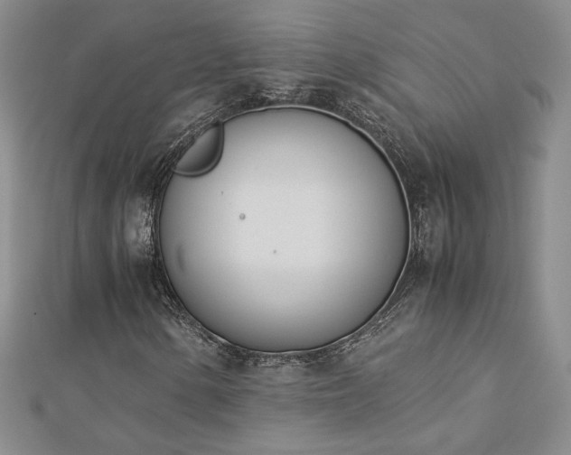 X0000113171154200909041316