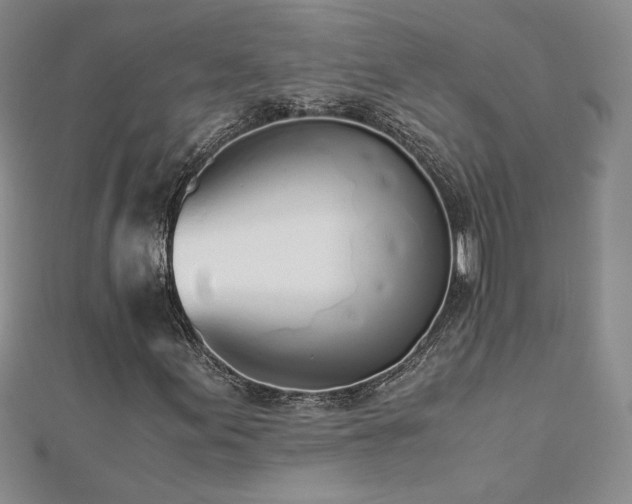 X0000113171155200909041316