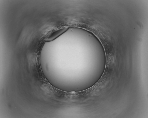 X0000113171157200909041316