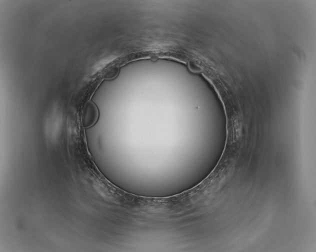 X0000113171158200909041316