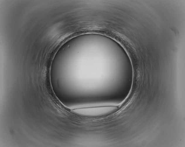 X0000113171161200909041316