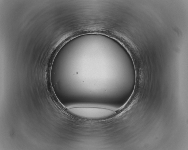 X0000113171162200909041316