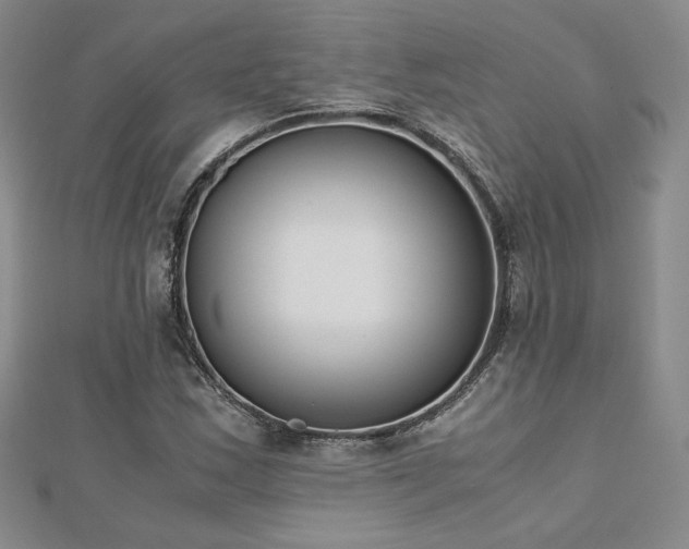 X0000113171163200909041316