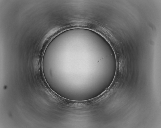 X0000113171164200909041316