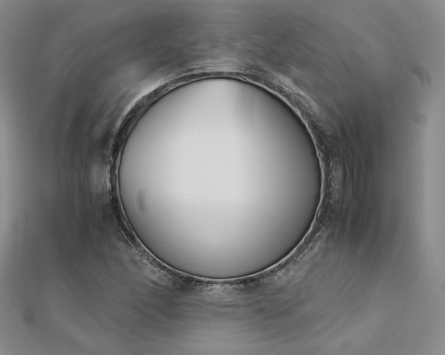 X0000113171166200909041316