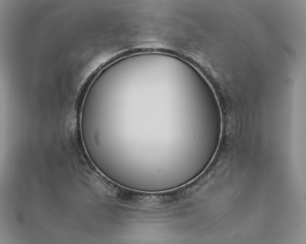 X0000113171167200909041316