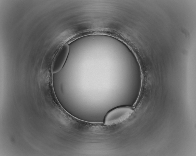 X0000113171169200909041316