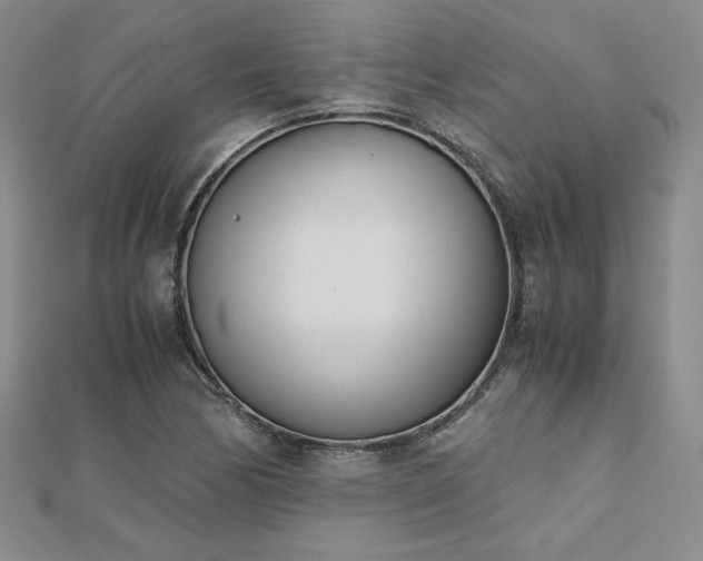 X0000113171170200909041316