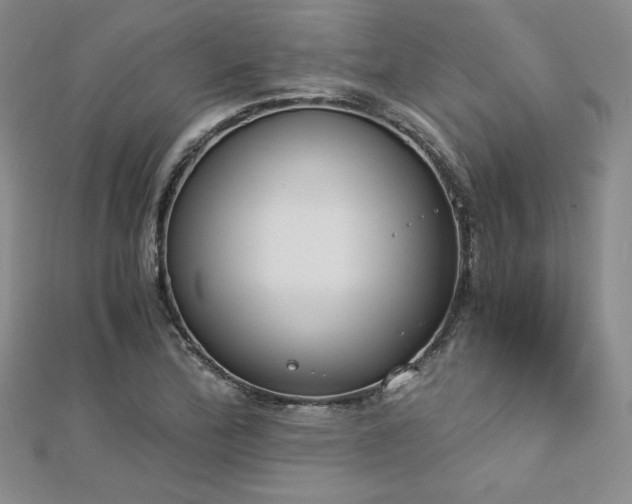 X0000113171172200909041316