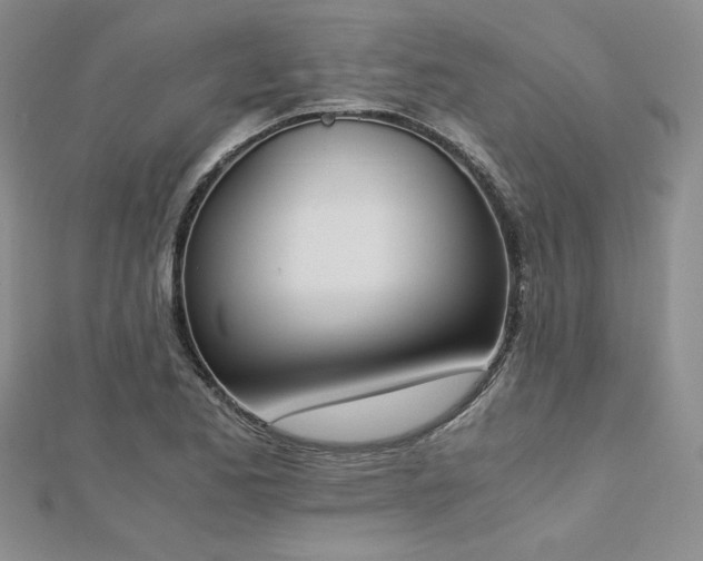 X0000113171173200909041316