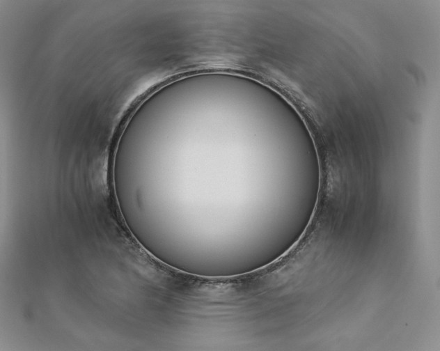 X0000113171174200909041316