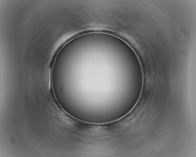 X0000113171175200909041316