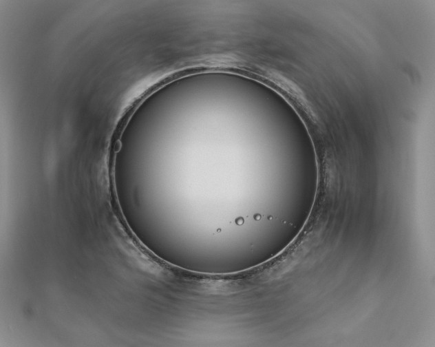 X0000113171176200909041316
