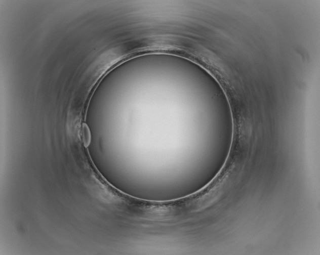 X0000113171177200909041316