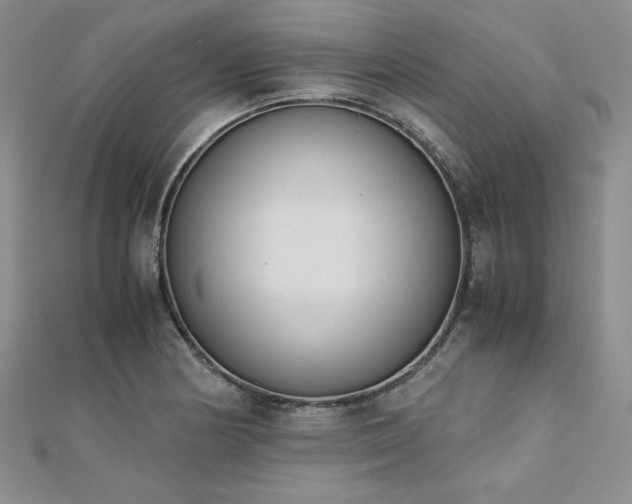 X0000113171178200909041316