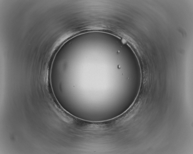 X0000113171179200909041316