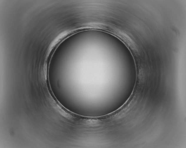 X0000113171180200909041316