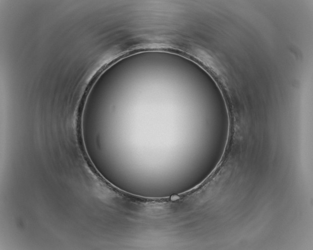 X0000113171181200909041316