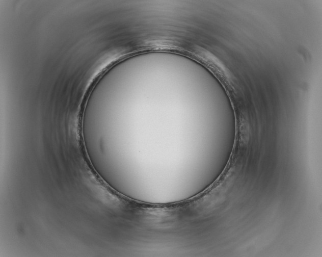 X0000113171182200909041316