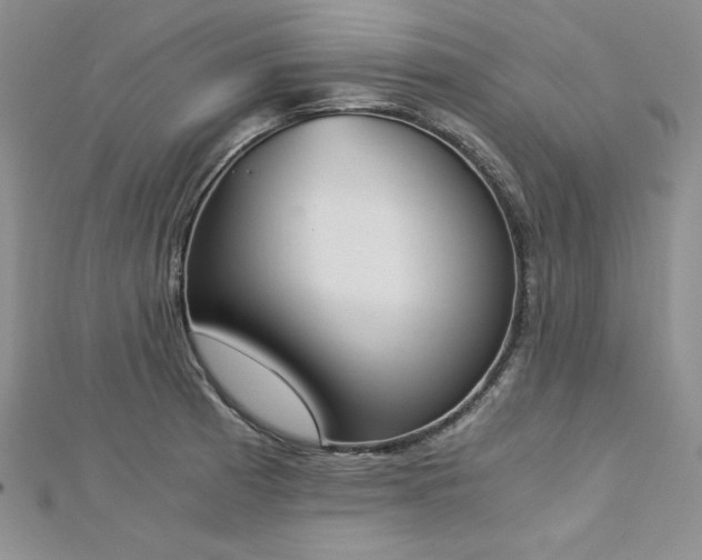 X0000113171185200909041316
