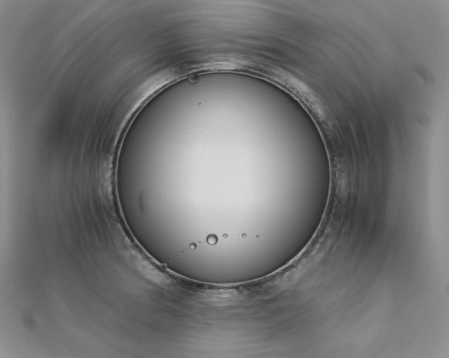 X0000113171186200909041316