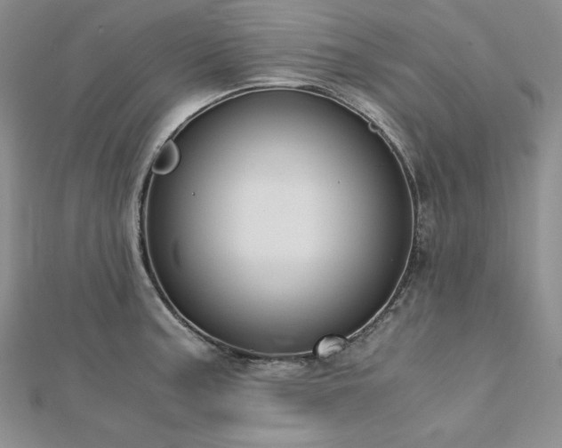 X0000113171187200909041315