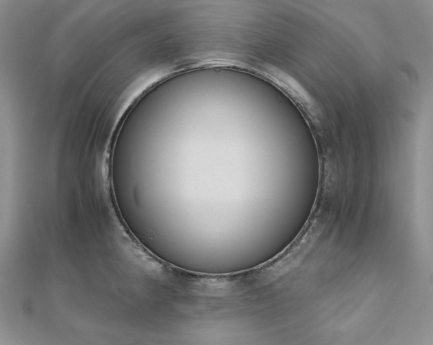 X0000113171190200909041315