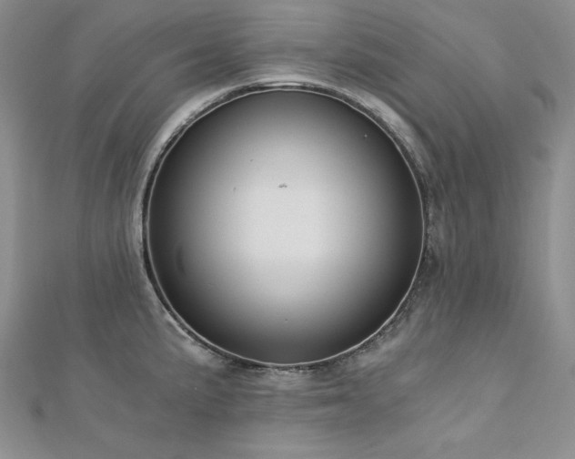 X0000113171191200909041315
