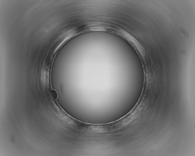 X0000113171194200909041315