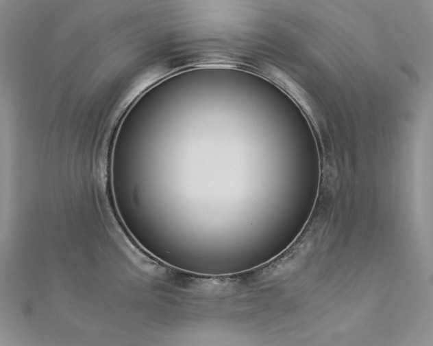 X0000113171195200909041315