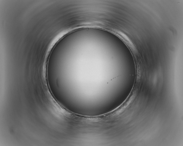 X0000113171196200909041315
