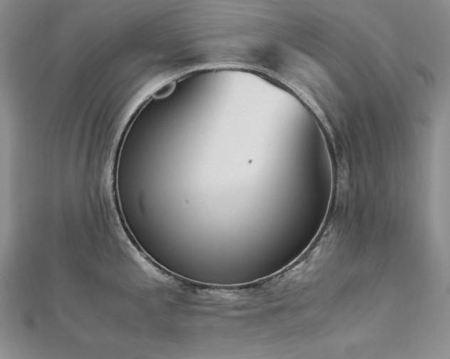 X0000113171197200909041315