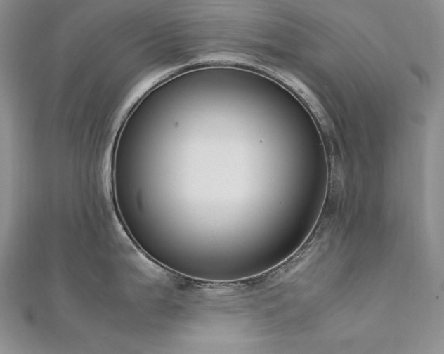 X0000113171199200909041315