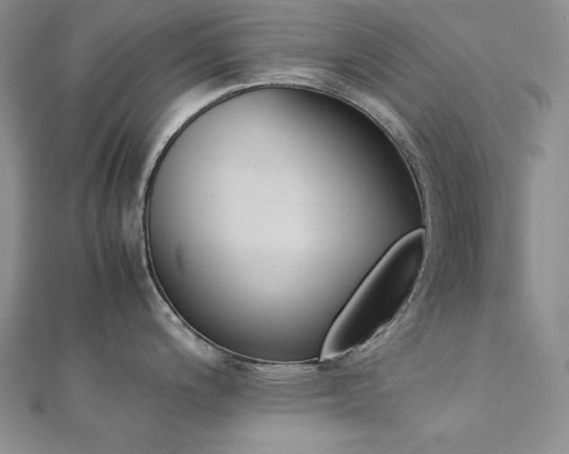 X0000113171200200909041315
