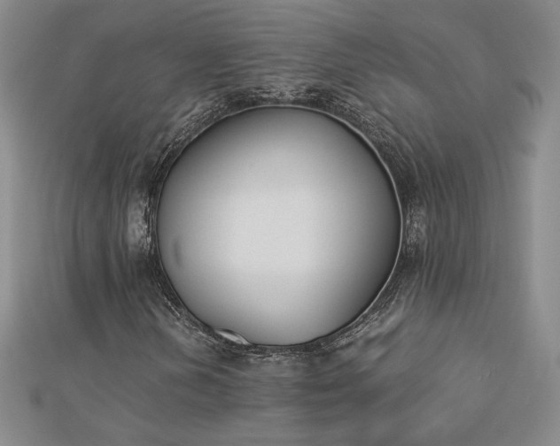 X0000113171202200909041315